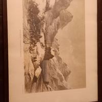 Stampa Carlo Bossoli