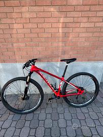 MTB Specialized