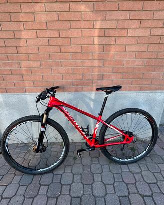 MTB Specialized