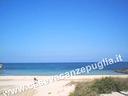 villaprezi-mare-ostuni-6posti-2-bagni-a-c-giardino