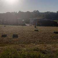 ballette paglia e fieno 