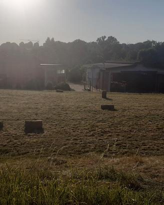 ballette paglia e fieno 