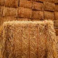 Paglia in balloni prismatici