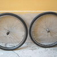 ruote bici MTB