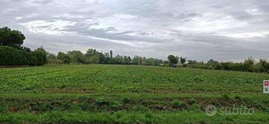 Terreno di 13100 m² a Ponzano Veneto