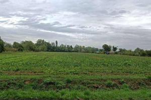 Terreno di 13100 m² a Ponzano Veneto