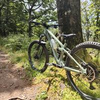 Transition Sentinel Carbon Gx Anno 2023