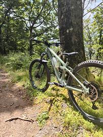 Transition Sentinel Carbon Gx Anno 2023