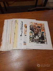 INSERTI ALLEGATI ALLA RIVISTA " IL TEMPO "