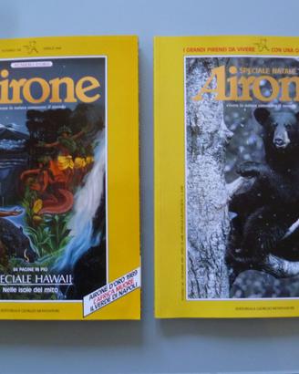 Lotto Airone Aprile 1990 e Dicembre 1992