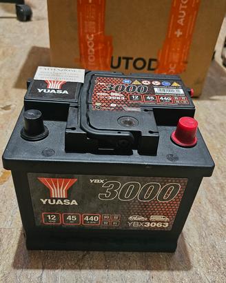 Batteria Yuasa YBX 3000 mai usata