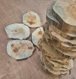 Set 36 fette legno grezzo