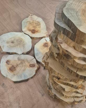 Set 18 fette legno grezzo