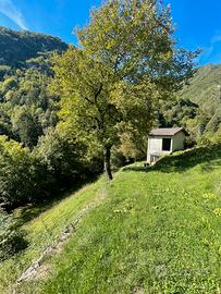 Stalla + terreno