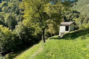 Stalla + terreno