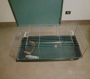 Gabbia per coniglio/cavia