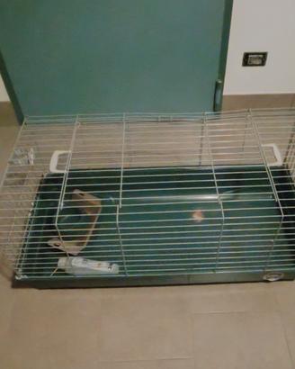 Gabbia per coniglio/cavia