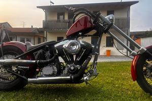 Harley Davidson Cycle Chopper Special