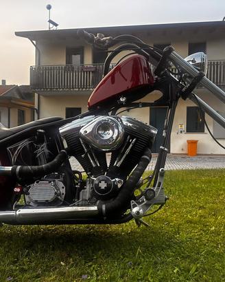Harley Davidson Cycle Chopper Special