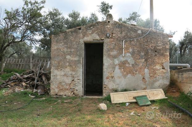 Terreno Agricolo con Rustico Agli Androni