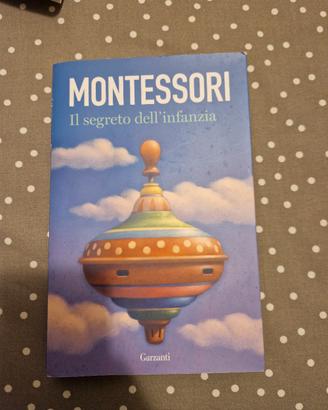 Il segreto dell'infanzia - Montessori