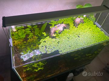 Acquario completo
