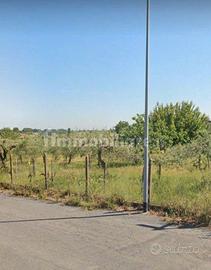 Terreno agricolo zona Laurentina