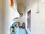 Immagine 16
