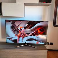 Televisore samsung 55 pollici