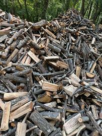 legna da ardere secca 