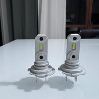 Lampadine top light H7/H8 kit 2