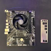 Scheda madre amd + CPU Rayzen + Scheda di rete