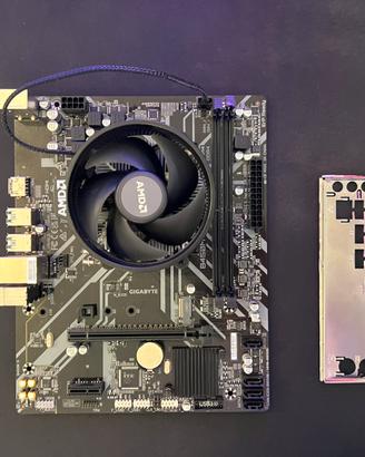 Scheda madre amd + CPU Rayzen + Scheda di rete