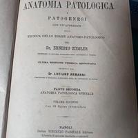 libro antico Anatomia Patologica Ziegler
