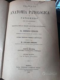 libro antico Anatomia Patologica Ziegler