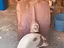 Immagine 2