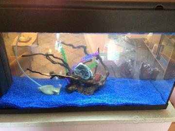 Acquario 110 l