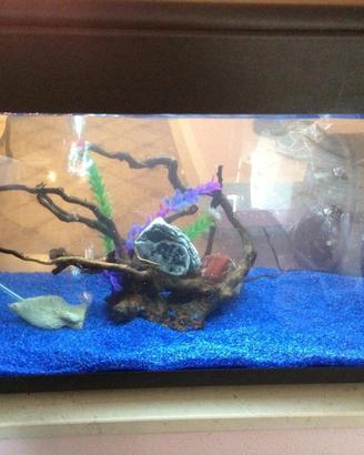 Acquario 110 l