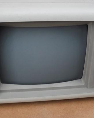 Monitor IBM 5151
