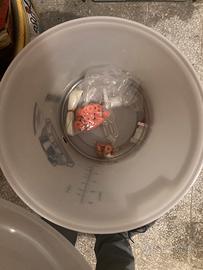 Fermentatore per birra