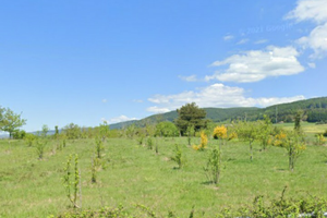 Vendita terreno agricolo