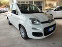 fiat-panda-1-0-firefly-s-s-hybrid-easy