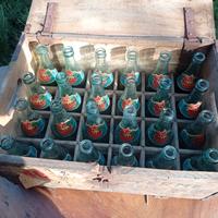 Cassetta e 24 bottigliette Aranciata S.Pellegrino 