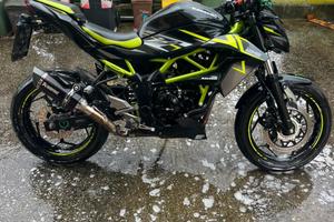 KAWASAKI Z125 del 2021