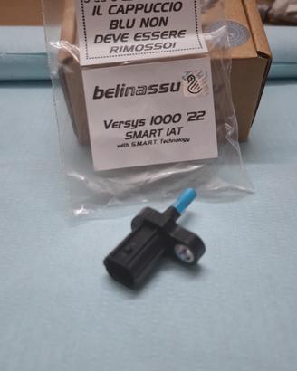 smart IAT modificato kawasaki 