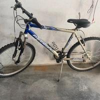 Bici rampichino Montana