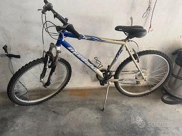Bici rampichino Montana