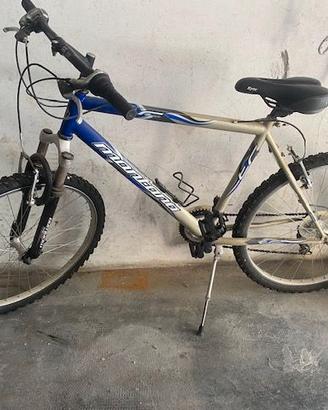 Bici rampichino Montana