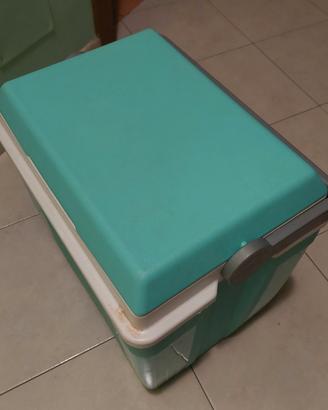 Ghiacciaia portatile
