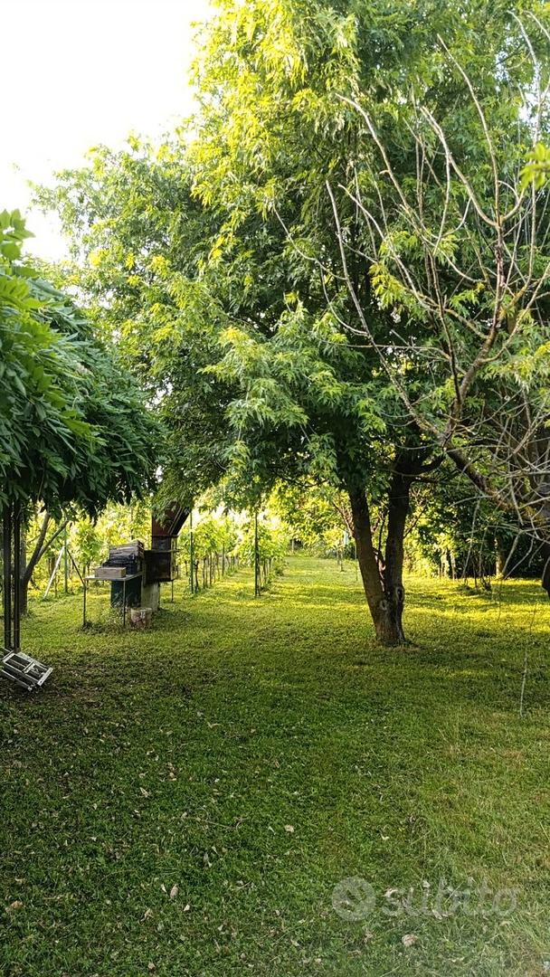 Terreno agricolo a Gessate - Vista 4